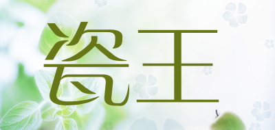 瓷王品牌官方网站