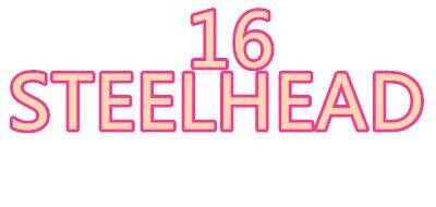 STEELHEAD16品牌官方网站