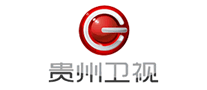 贵州卫视品牌官方网站