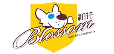 初花BLOSSOM品牌官方网站