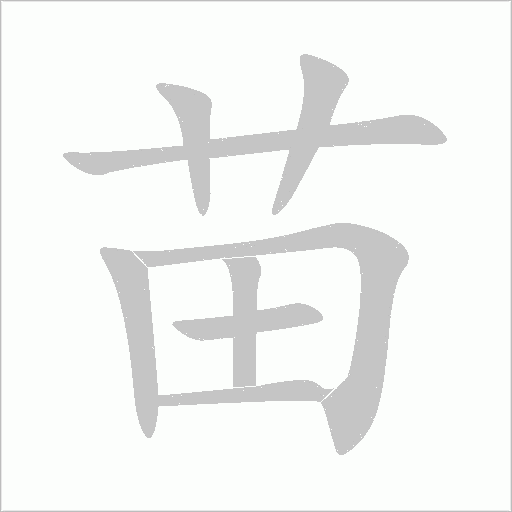 《苗》字
