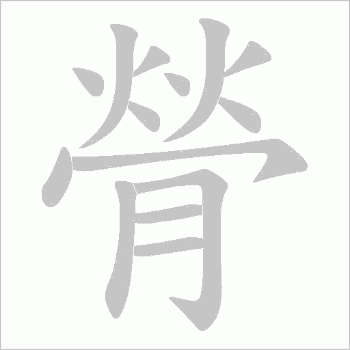 《膋》字