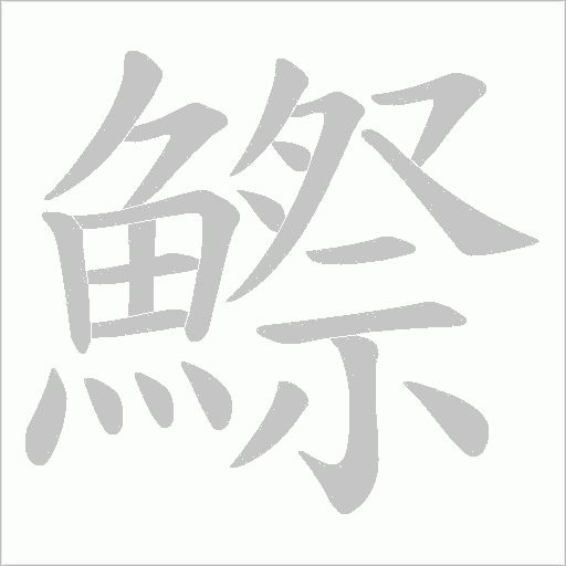 《鰶》字