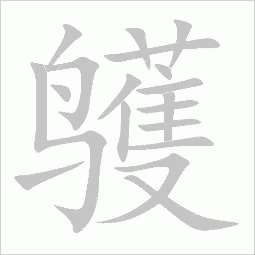 《鹱》字