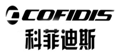 科菲迪斯COFIDIS