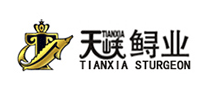天峡TIANXIA品牌官方网站
