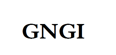 GNGI品牌官方网站